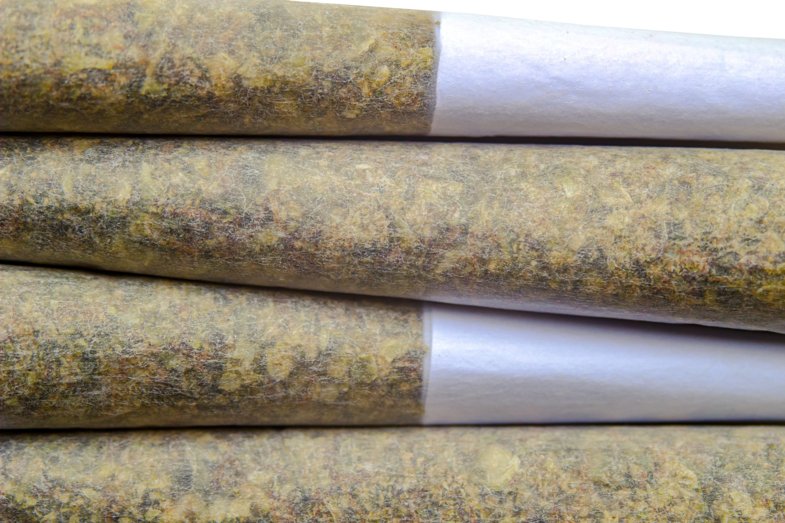 Close up of pre-rolls cannabis joints.