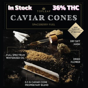 Top Leaf- Spaceberry Fuel 4 x 0.5g Caviar Cones.jpeg