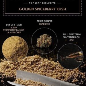 Topleaf - Golden Spiceberry Kush Caviar Cones 4 x .5g.jpg