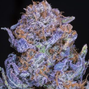 Western Cannabis - 10th Planet 20x.5g.jpg