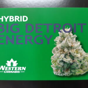 Western Cannabis - Big Detroit Energy 3.5g.jpg