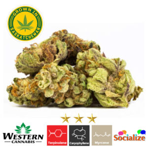 Western Cannabis - Bruce 3.5g.jpg